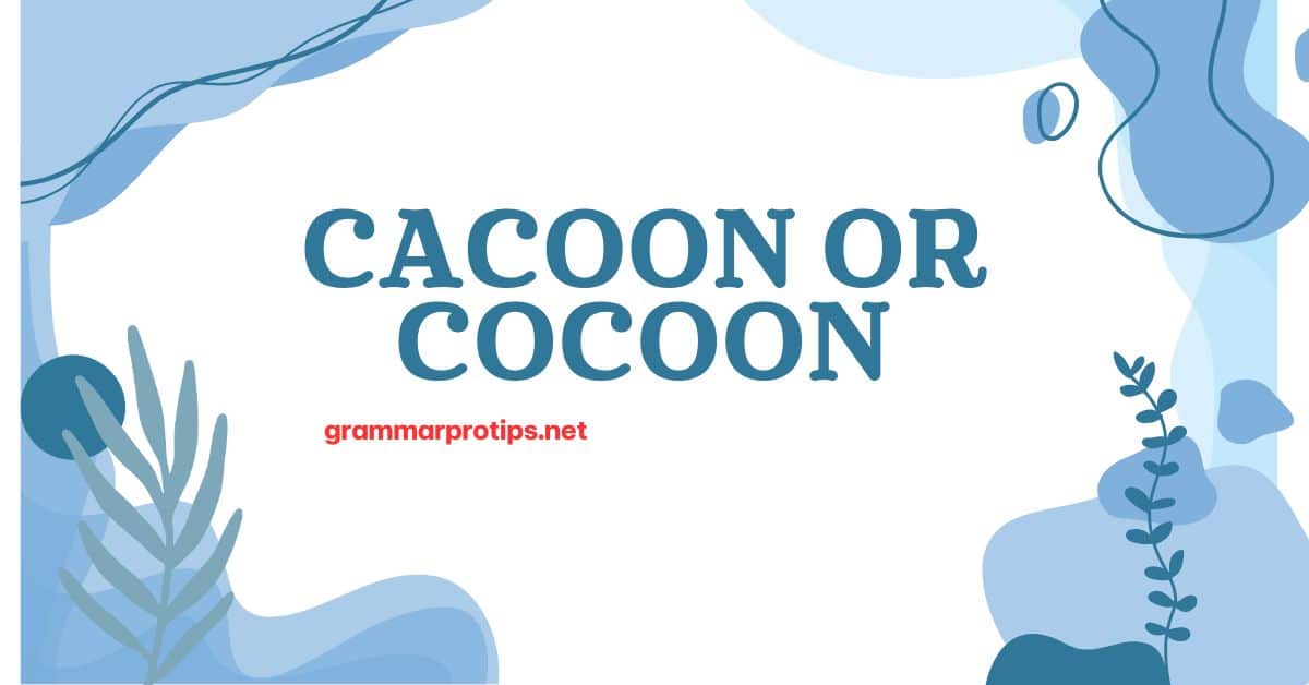 Cacoon or Cocoon Which Spelling is Correct