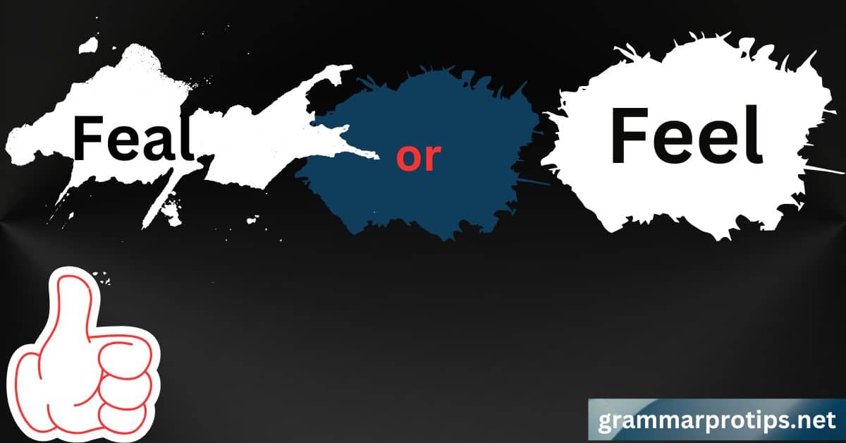 Feal vs Feel Which One Should You Use