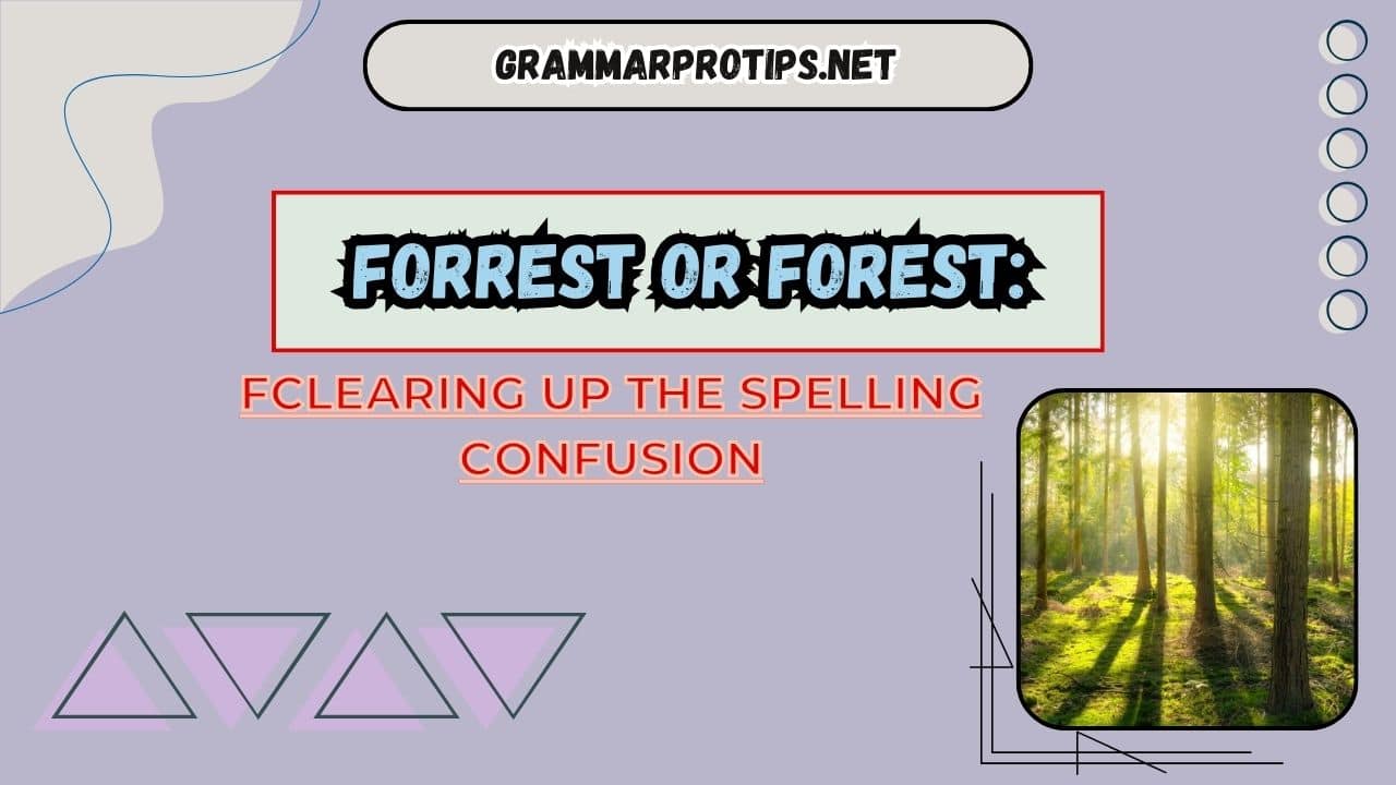 Forrest Or Forest: Clearing Up The Spelling Confusion