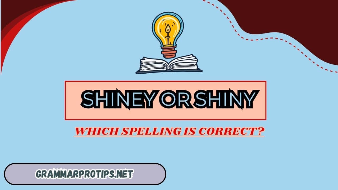 Shiney or Shiny: Which Spelling Is Correct?