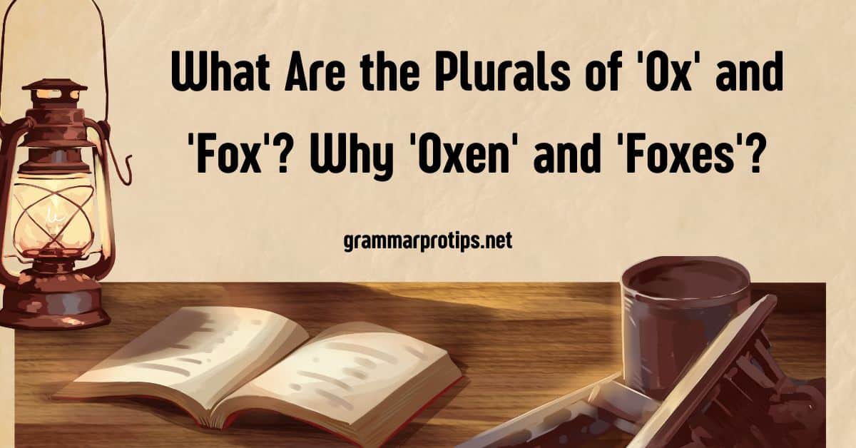 fox plural