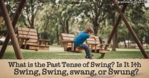 past tense of swing